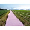 Pink bales for breast cancer awareness strike a chord overseas