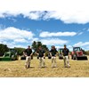 Counting down to Farm Trader's top tractor competition