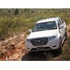 Great Wall Steed ute front