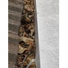 cleaning gutters and spouts tips