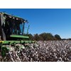 There are number of simple ways to prevent injury while working on cotton farms.