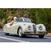 jaguar xk120 onroad 2