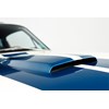 shelby mustang bonnet