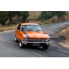 holden torana onroad 2