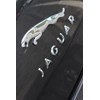 jaguar badge