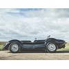 Lister Knobbly