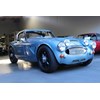 austin healey