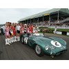 Aston Martin bent-eight bruisers and beauties at Goodwood 