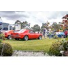 northern beaches muscle car show 44