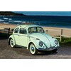 vw beetle front