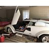 BARN FIND Countach side