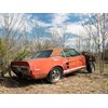 Little Red Shelby GT500