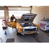 VHRR Sandown Historics Mustang