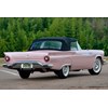 Minter Thunderbirds Dusk Rose rear