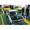 torana cruise 8668