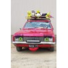 variety bash 26