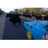 outback car trek 9832