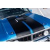 ford xy falcon gtho replica bonnet 2