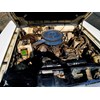 ZC Fairlane engine