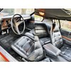 1973 Charger SE Premium interior