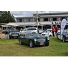 01 Austin Healeys entering event green Healey 100 at front