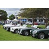 05 Austin Healey 100 line up