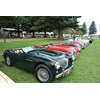 07 Austin Healey 100 line up