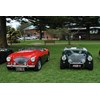 09 Austin Healey 100 line up