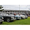 14 Austin Healey 3000 line up