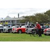 20 Austin Healey 3000 line up