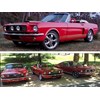 Canberra Mustang Show