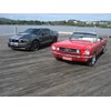 Canberra Mustang Show 2011