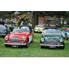 22 Austin Healey 3000 line up