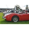 26 Austin Healey 3000 line up