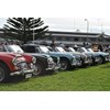 34 Austin Healey 3000 line up