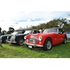 46 Austin Healey 3000 line up