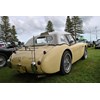 Austin Healey 100 BN1 Noel Imelda Gorn with custom hardtop 03