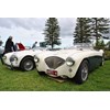 Austin Healey 100M BN2 replica 03 line up