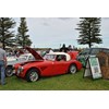 Austin Healey 3000 Mk II BJ7 Bob Upton rally replica 01