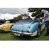 Austin Healey 3000 Mk II BJ7 George Sandra Pickering 1962 build 06 bird poo with George