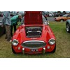 Austin Healey 6000 Mk III BJ8 John Strick 12