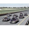 Ford Falcon Wild Violet XY Fleet