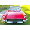 Ford thunderbird front