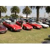 Geelong Revival 2014