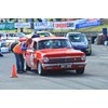 Geelong Revival 2014