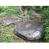 Jaguar E type hedge find 2