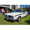 Northern Beaches Muscle car 39