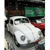 volkswagen beetle shannons