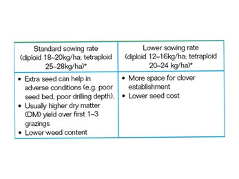 Choosing-sowing-rates-for-perennial-ryegrass-table.jpg