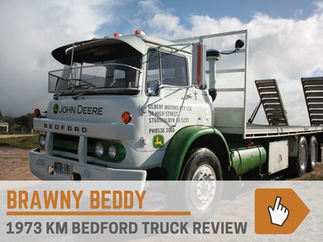 Brawny Beddy review